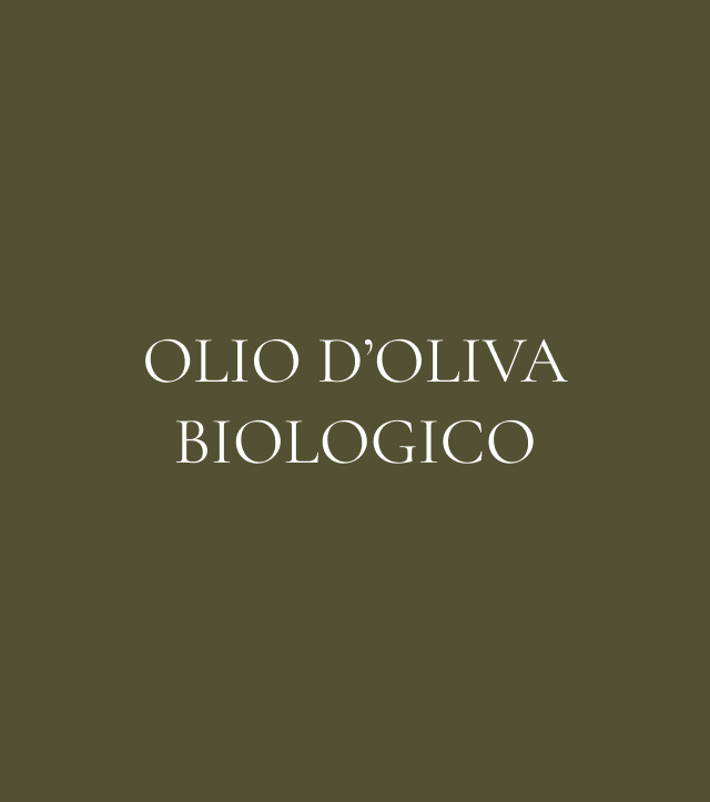 Immagine 3 Hover